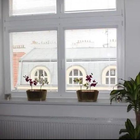 Lenka'S Cozy Red Studio + Lenka'S Cozy Gold Apartment プラハ エクステリア 写真