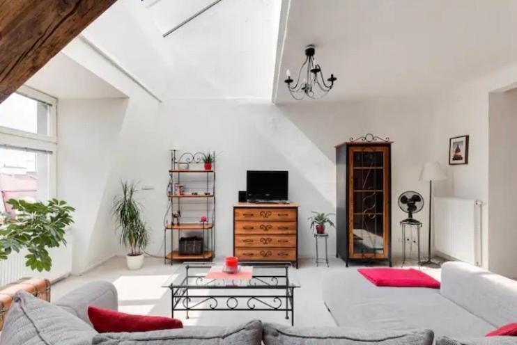 Lenka'S Cozy Red Studio + Lenka'S Cozy Gold Apartment プラハ エクステリア 写真
