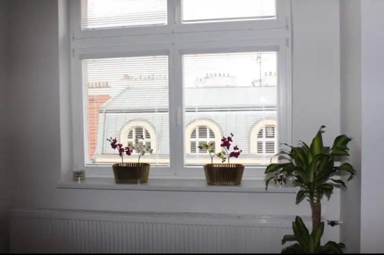 Lenka'S Cozy Red Studio + Lenka'S Cozy Gold Apartment プラハ エクステリア 写真